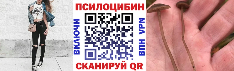 Галлюциногенные грибы MAGIC MUSHROOMS  Купить где  Старица 